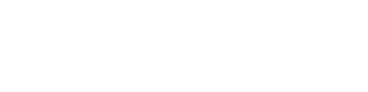 Zenith Realty Logo